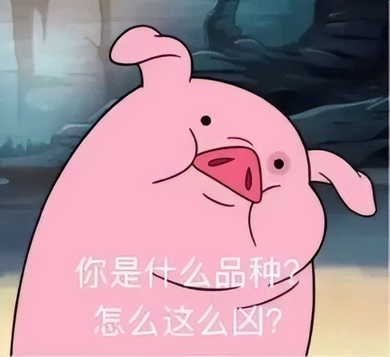 2017年那些流行语用日语怎么说,日语经典流行语