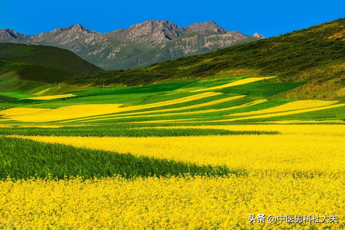 固精养精是什么意思,固精降敏