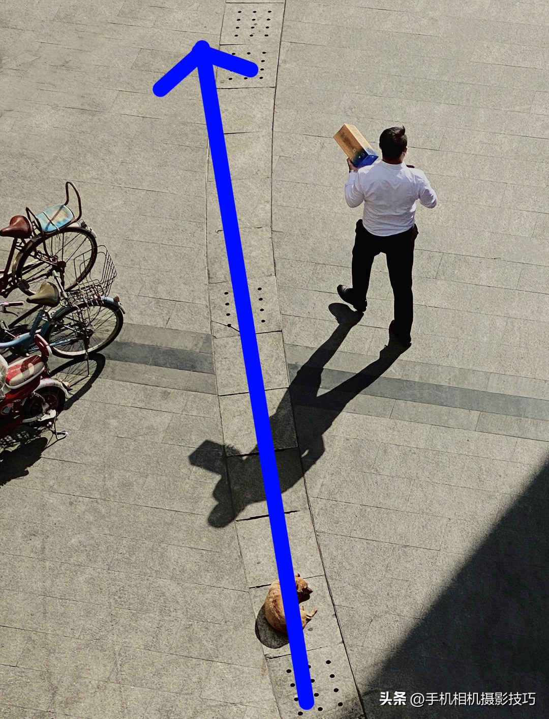 最有违和感的照片,盘点那些毫无违和感的图片