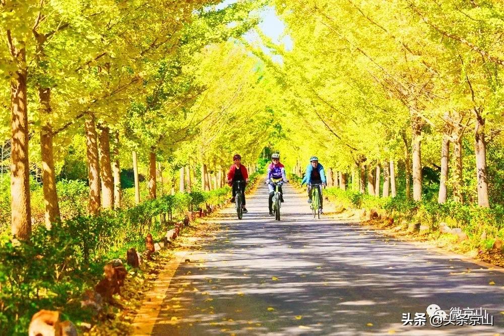 京山十大最美景点,京山美景推荐