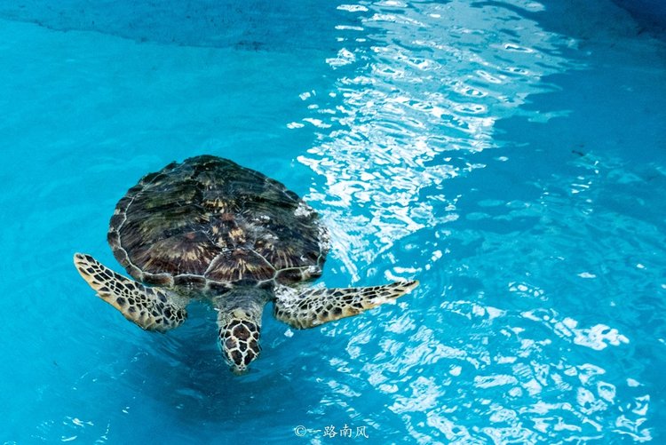 福州永泰，一个低调但很迷人的地方，好玩有故事值得一游