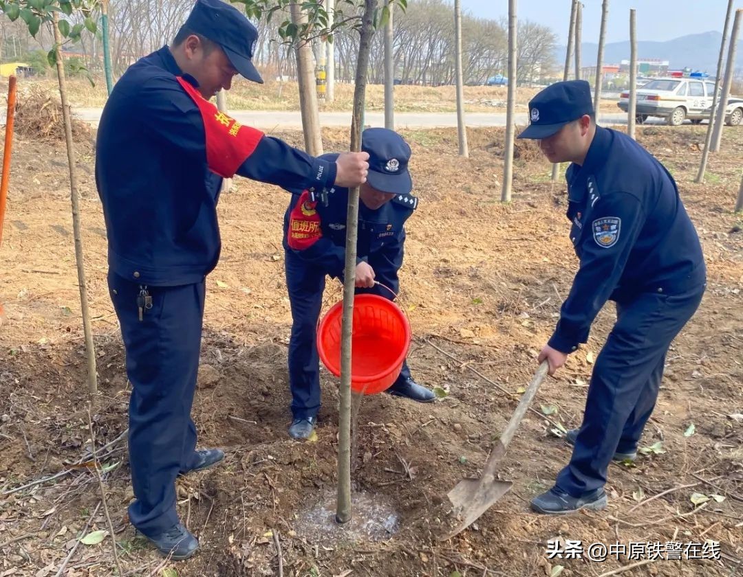 拥抱春天播种希望植树节手抄报,植树节拥抱春天播种梦想主题班会