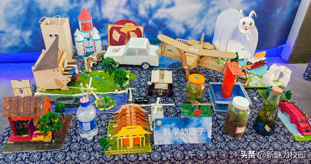 劳动润“鑫”“鑫”动生花——鑫园小学举行劳动教育专场活动