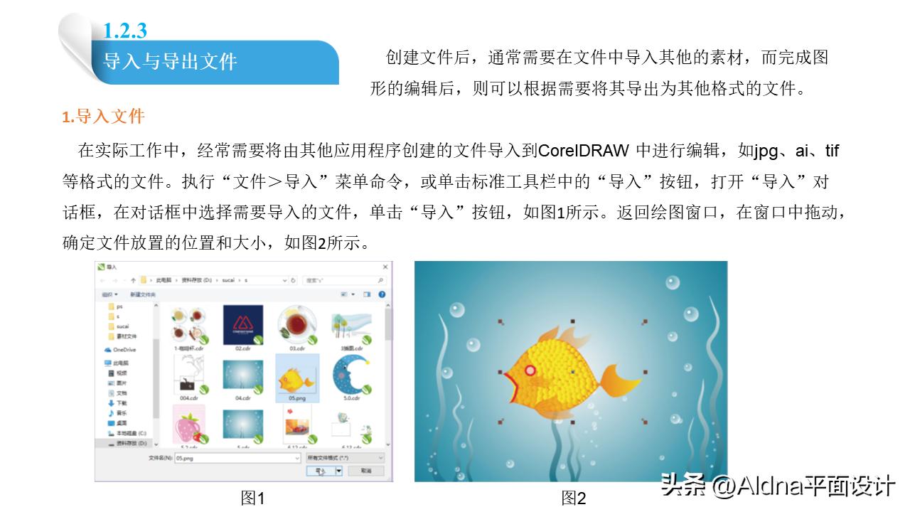 coreldraw快速入门,coreldraw4教程入门
