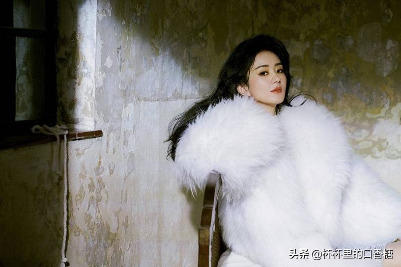 被黑最惨的五位明星,被黑最惨的六位明星