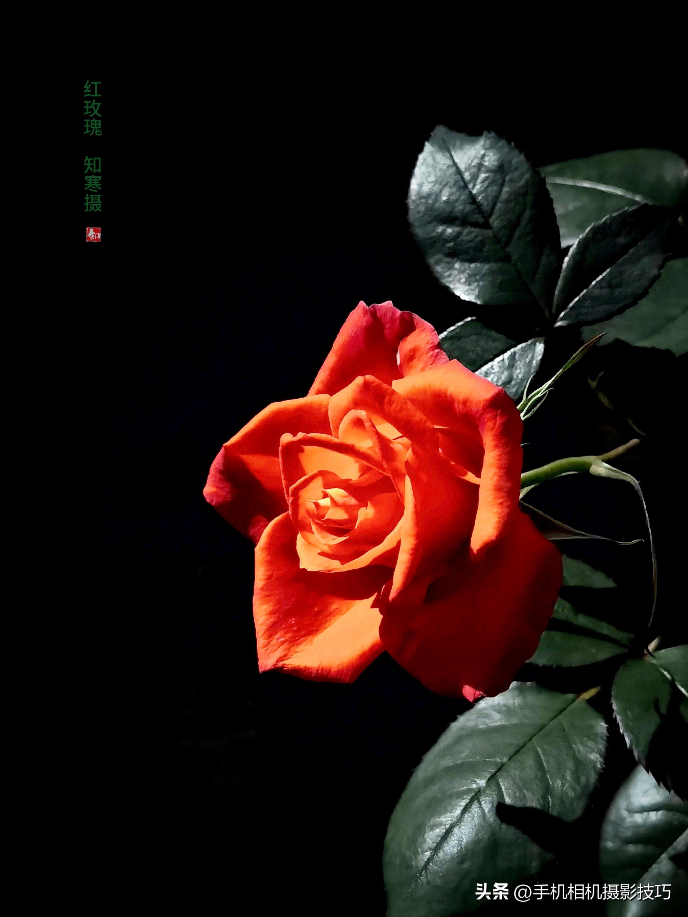 手机怎样把一张模糊的照片变清晰,手机照片模糊了怎么恢复到高清