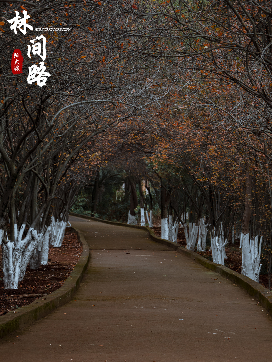 海口世纪公园游玩攻略一日游,昆明海口石城公园路线图