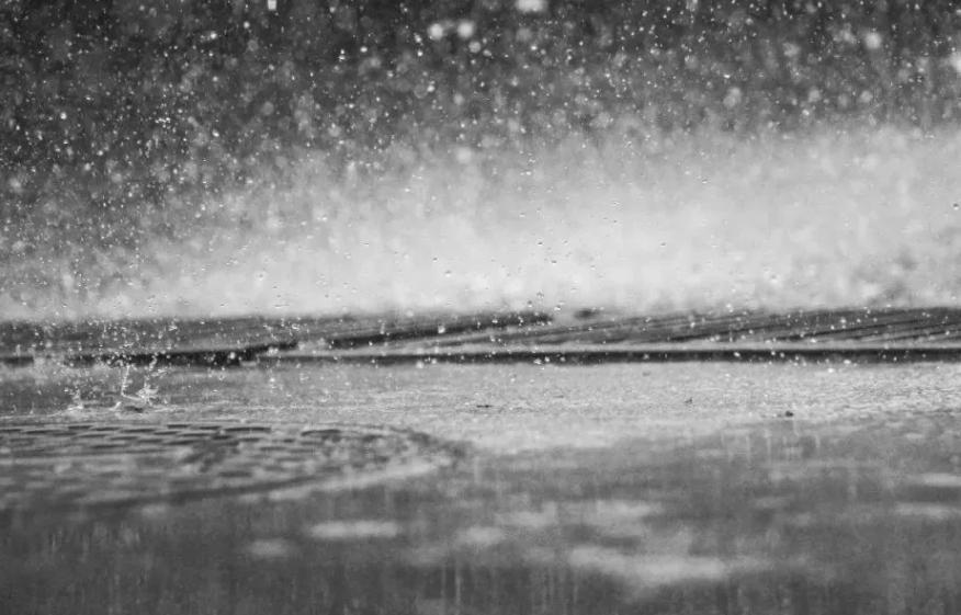 泰国富豪19岁发家致富,泰国男生卖海苔致富