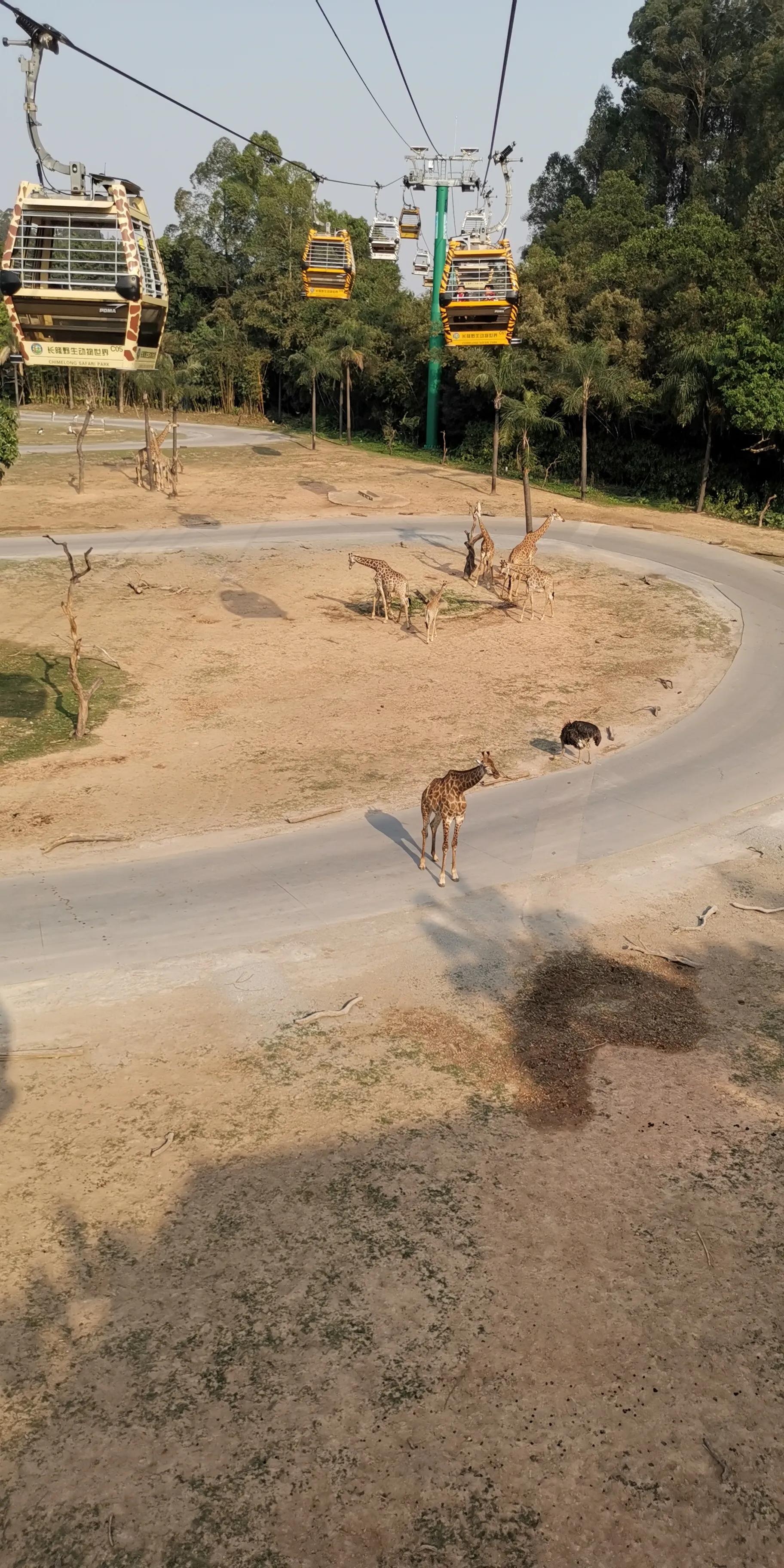 广州长隆两天一晚攻略,长隆酒店套票游玩攻略