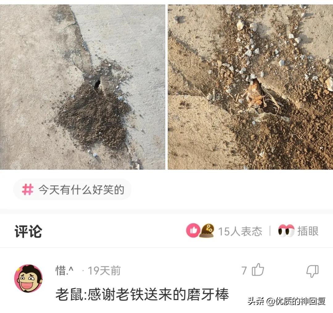 你知道衣服上的字什么意思吗,女生衣服上的字母含义