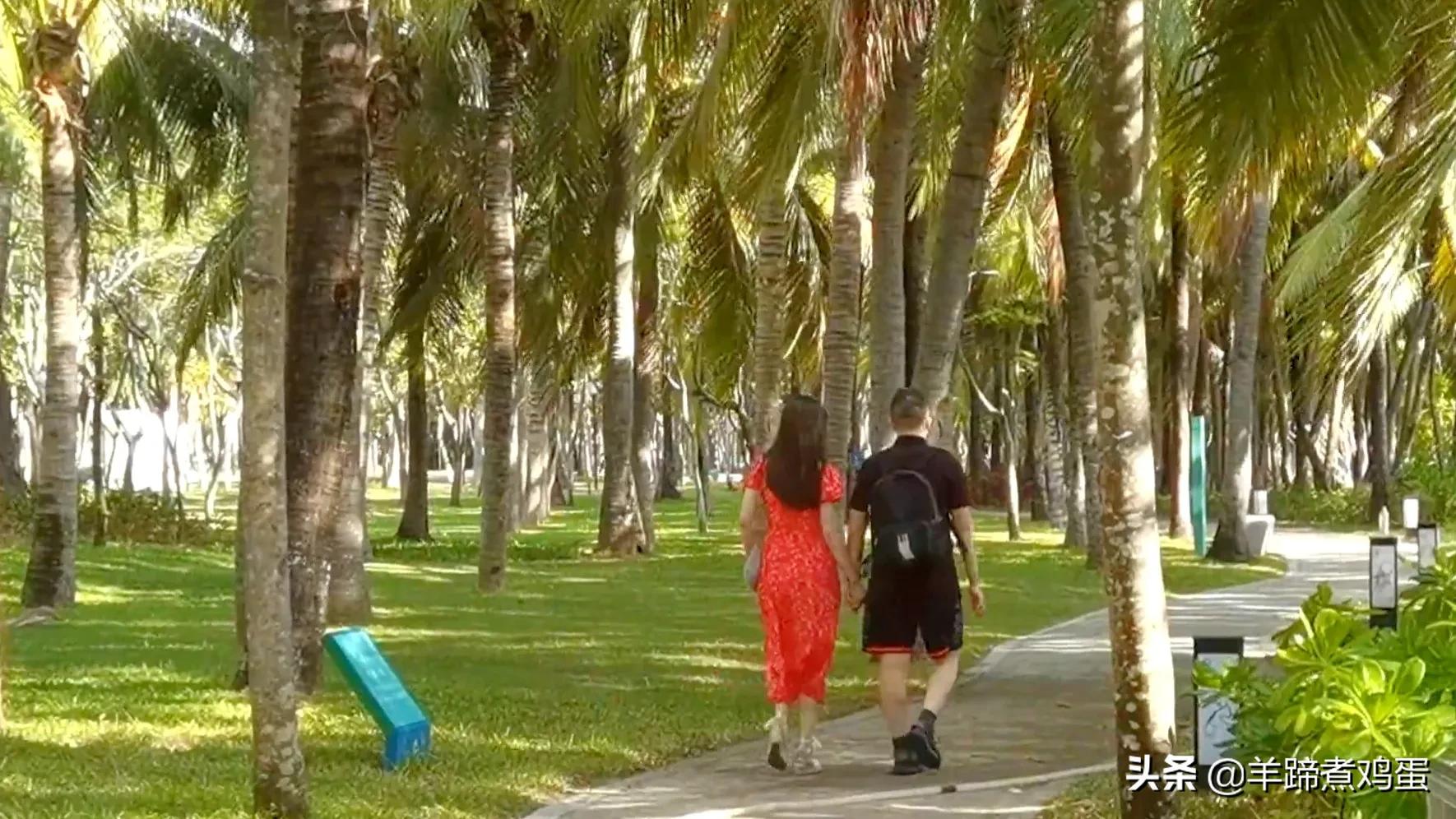 三亚椰梦长廊日落绝美,三亚湾椰梦长廊看夕阳最佳观赏点