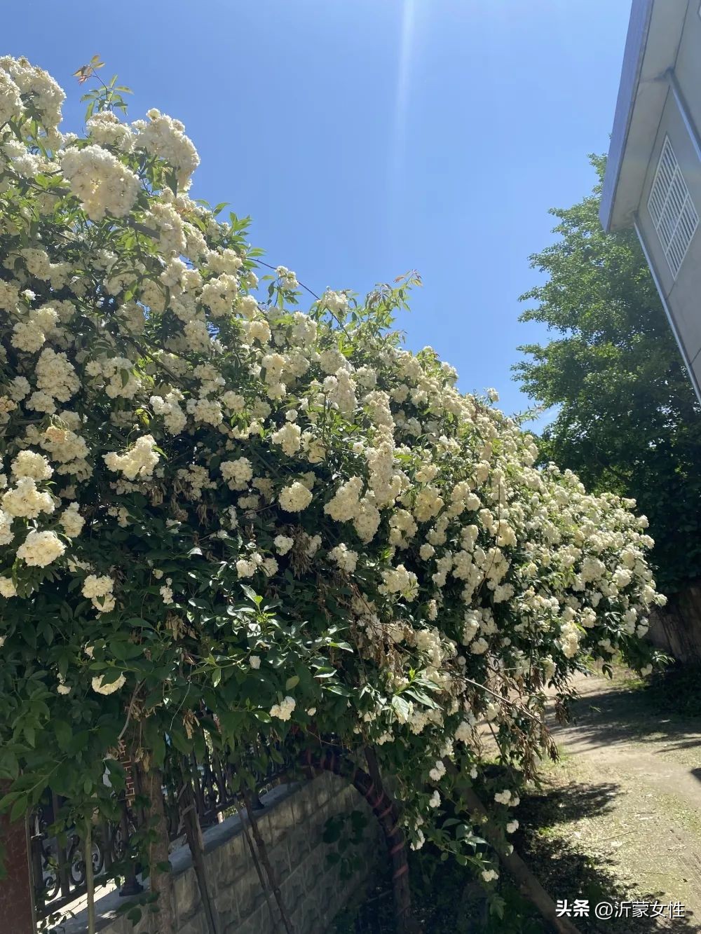 美在农家美篇,美在农家