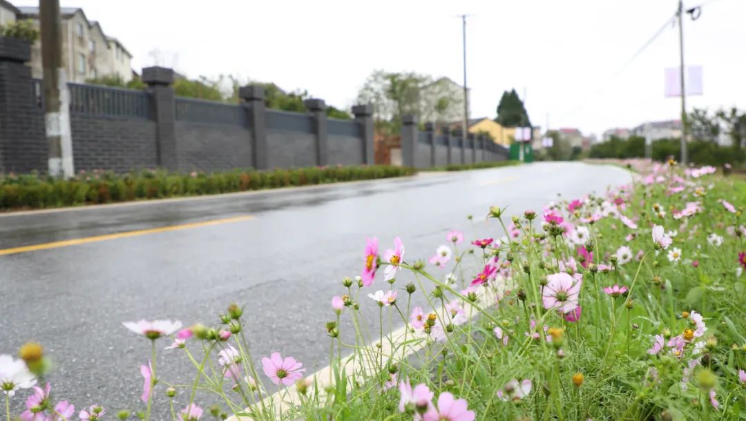 农村土地如何增值？柯城这个乡有好方法