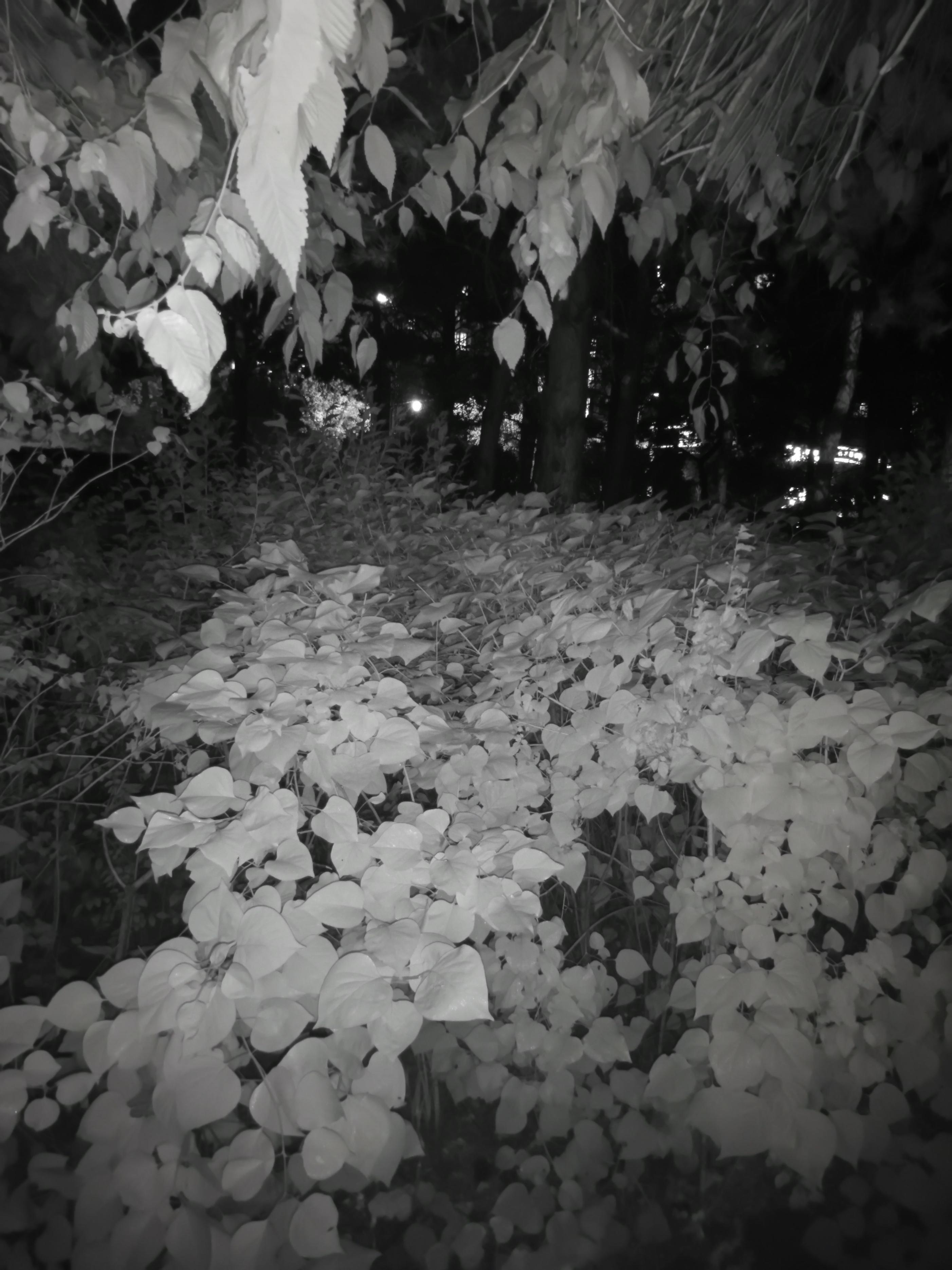 三防手机当随身wifi,三防手机能当普通手机用吗