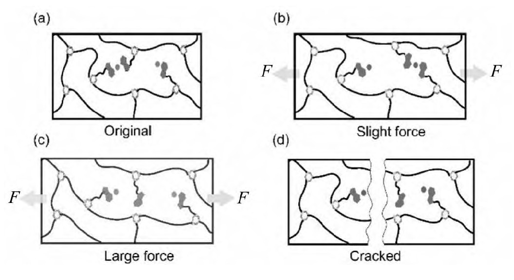 基于动态Mg2+-吲哚，可修复可回收聚六氢三嗪薄膜的制备性能如何
