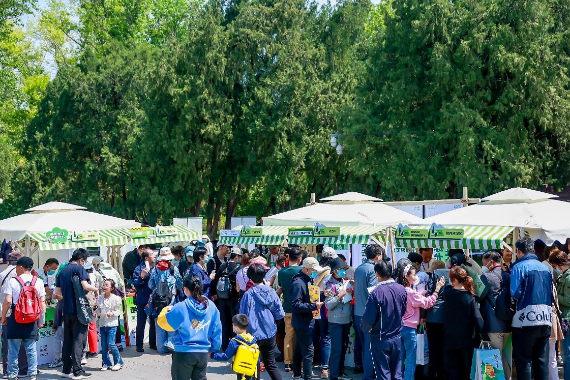 龙江旅游营销方案,黑龙江旅游市场营销方案