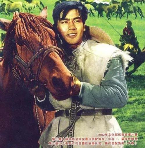 牧马人观后感100篇,看完牧马人的观后感