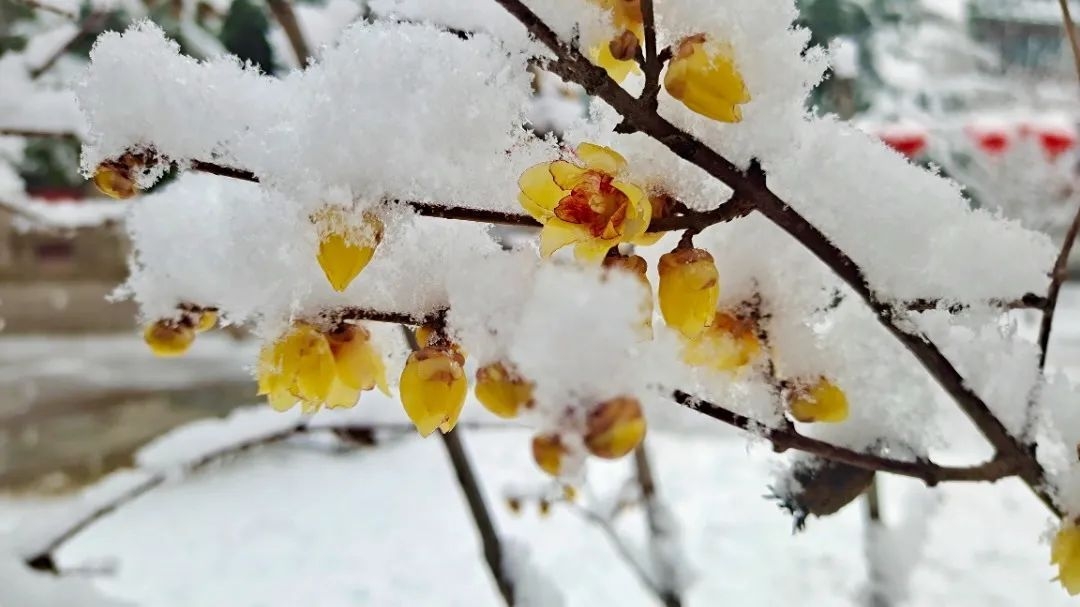 石家庄下雨哪里风景最美,石家庄冬季风景好的地方