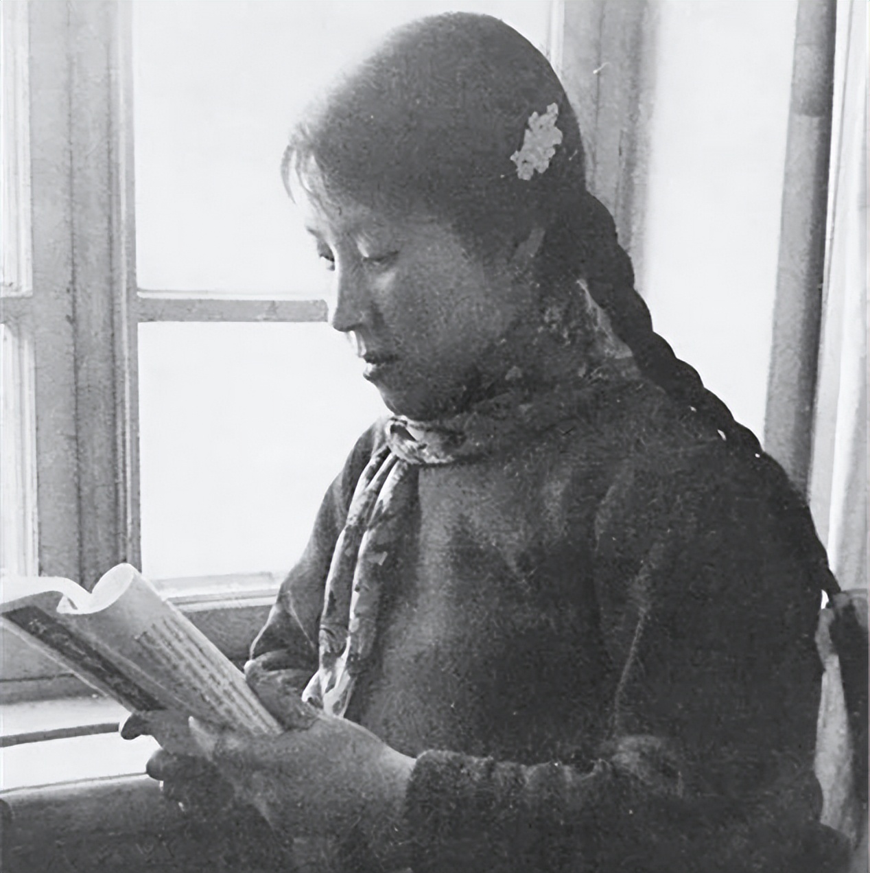 李玉琴找溥仪复婚,李玉琴去民政局和溥仪离婚电视剧