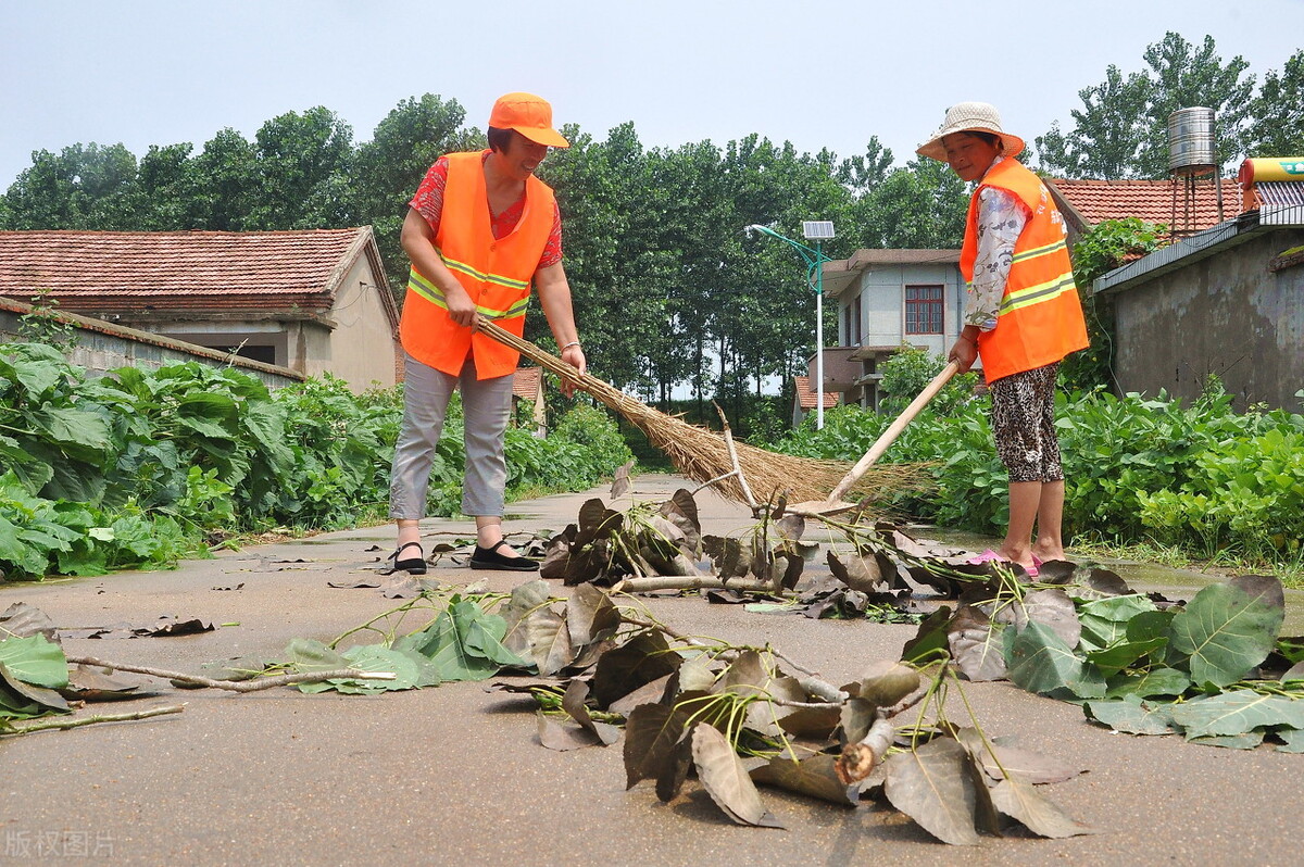 2022年农村什么挣钱,2022年农村什么最挣钱