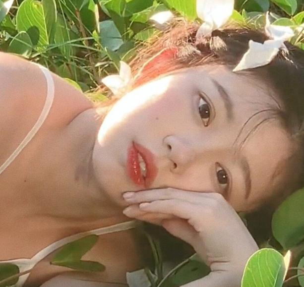 文艺浪漫温柔治愈文案,仙气的文案短句干净治愈