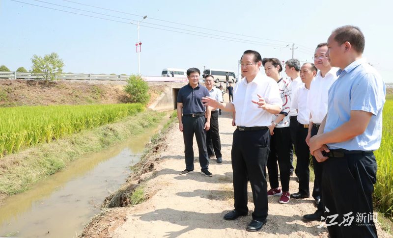 省委书记易炼红在丰城调研：以县域之拼搏助力全省出彩，以县域之突破支撑全省发展