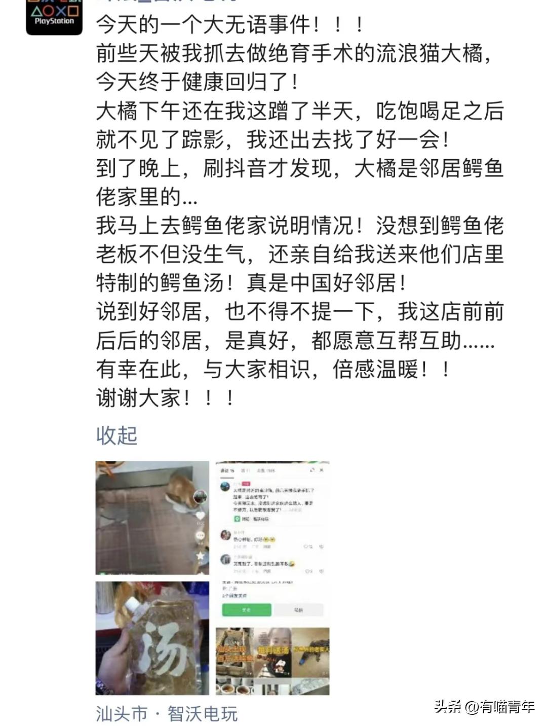 公猫出去一天一夜了都没回家,公猫出去三天没回来了