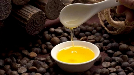 山茶油要怎么选牌子,山茶油怎么样