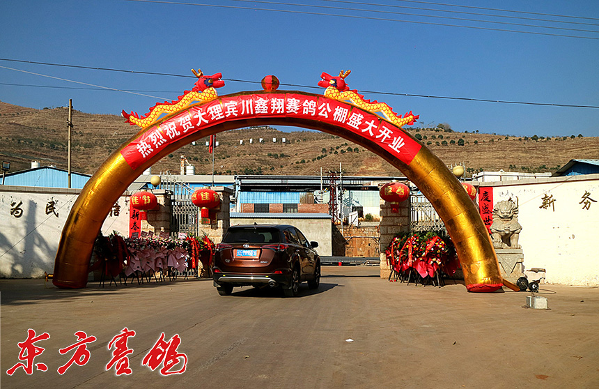 云南大理鑫翔公棚,大理宾川鑫翔公棚规程