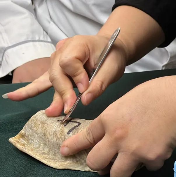 小产业大作为︱大连修脚妹获评省劳模走出人生高光时刻