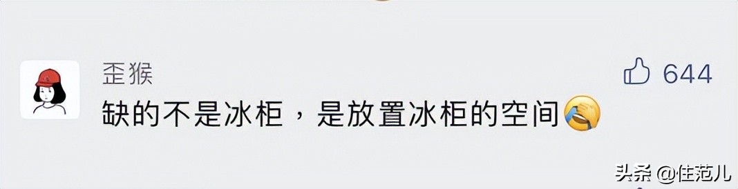 人人抢破头的冰柜，我劝你先别买