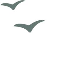 古诗中的南京美景,唐诗三百首关于南京