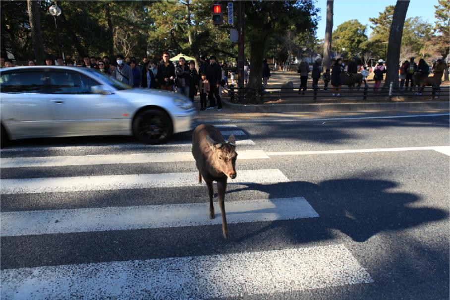 换个角度看世界杯上日本队的“亚洲奇迹”，自由和尊严之路