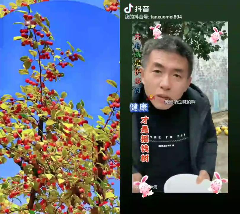 我的两个姨姐，住城里踢了什么？