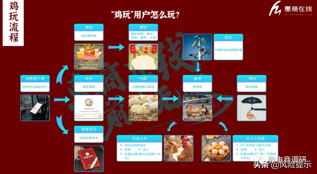 揭秘惠商在线“鸡玩”项目：在线养鸡，可年入百万？