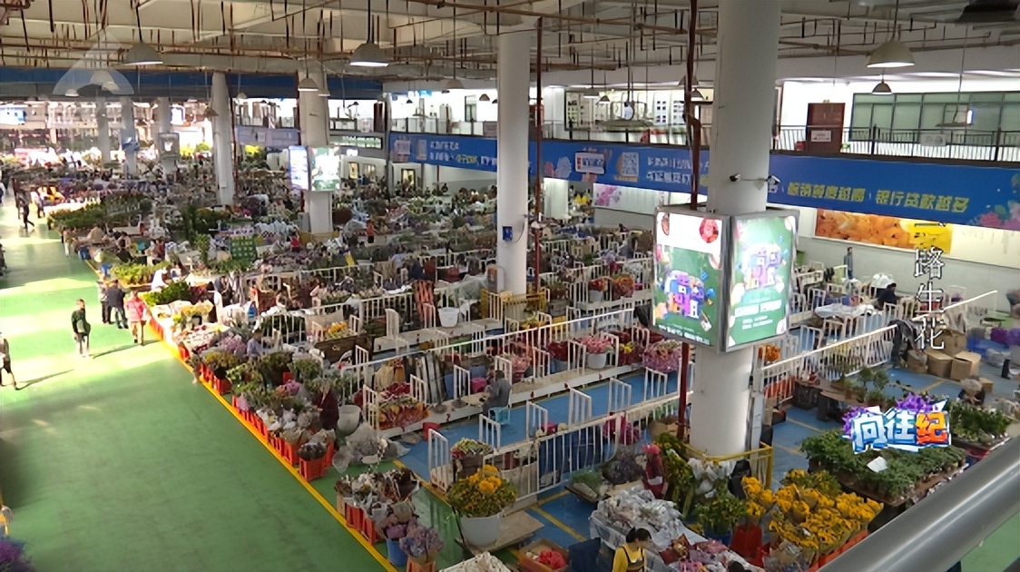 盘点人们都向往的工作,向往的工作和现实的工作