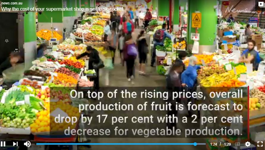 这已经不是我记忆中的澳洲了！这也太太太...贵啦