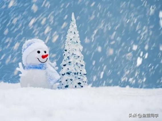 农历十一月十号是什么日子,十一月十一日农历是几号