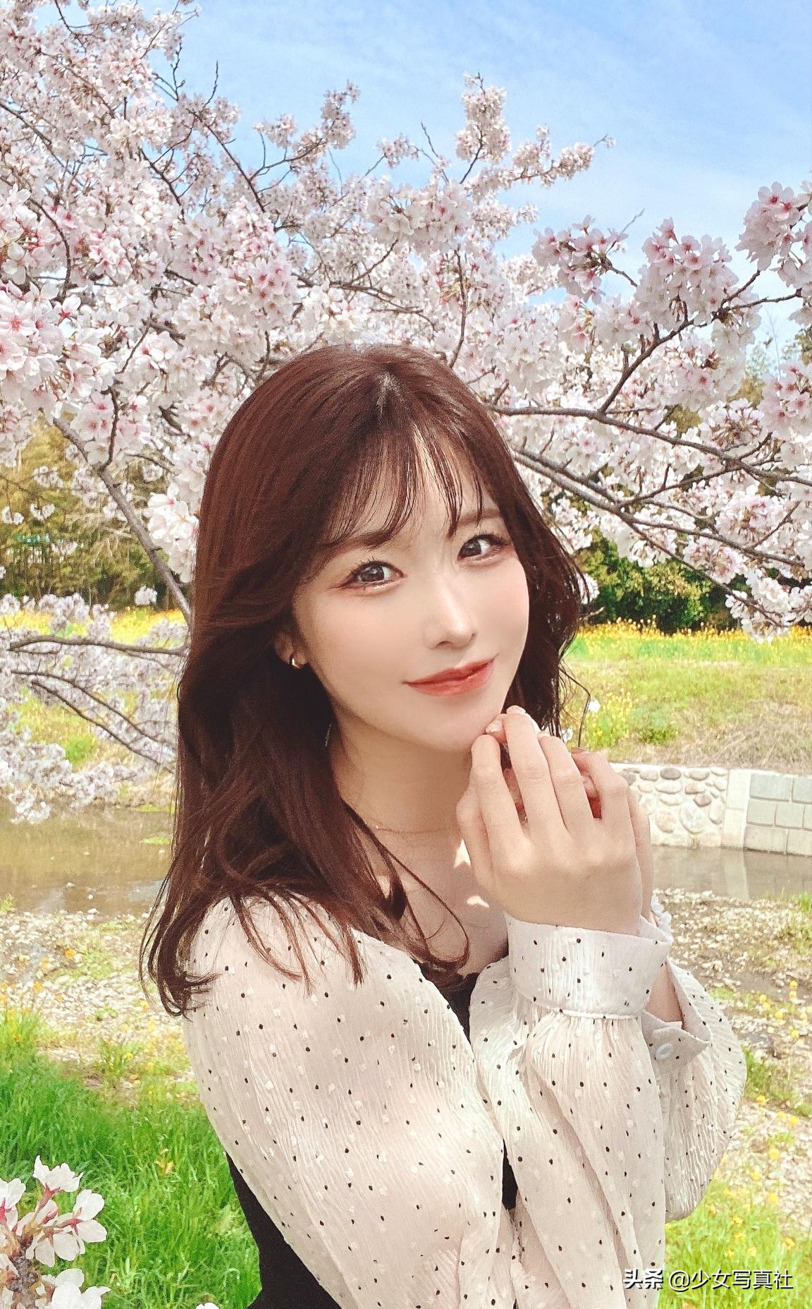 日本模特樱花照,山中丽子日本资料