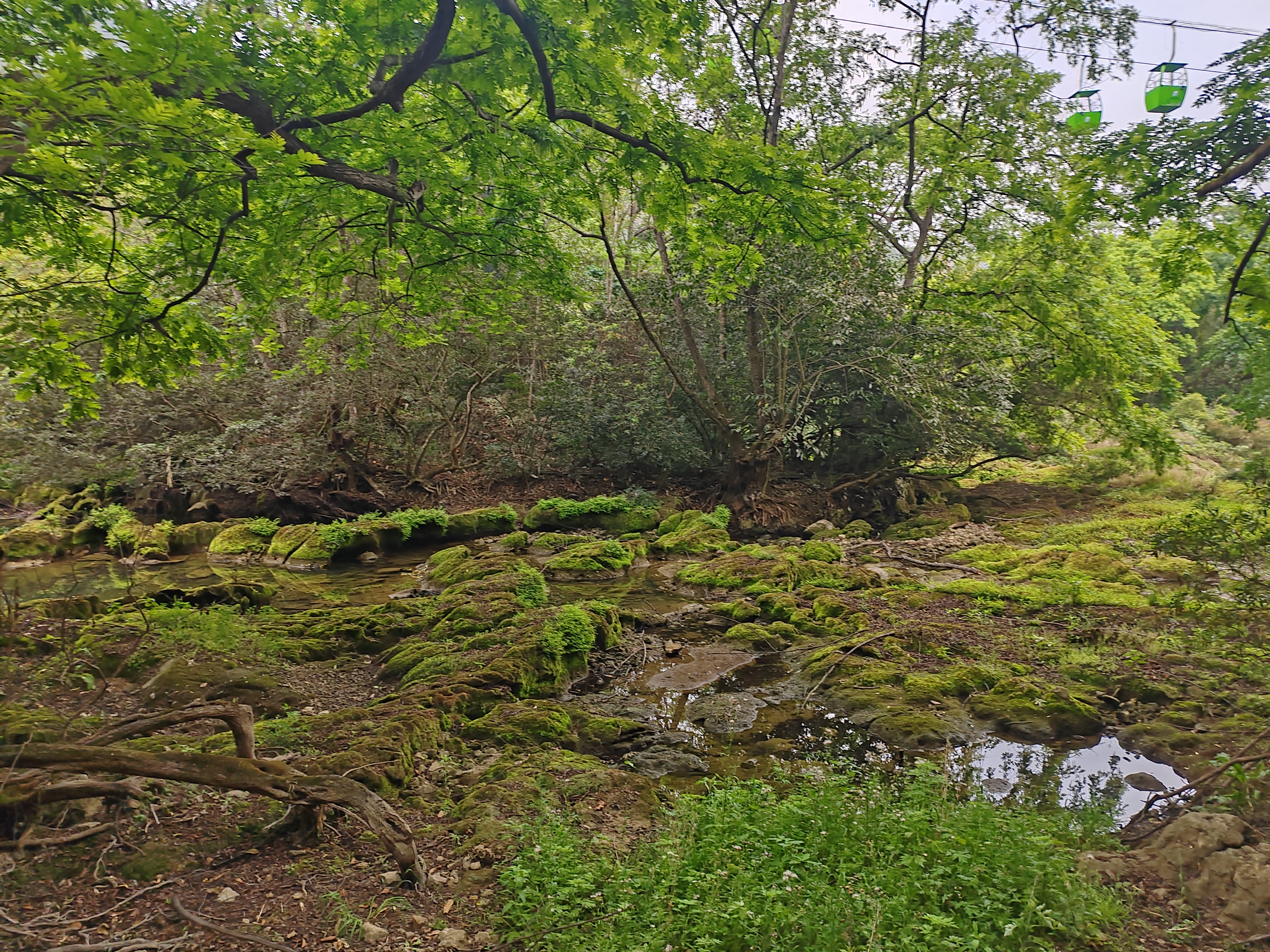 游贵州黄果树视频,贵州黄果树瀑布旅游攻略天星桥
