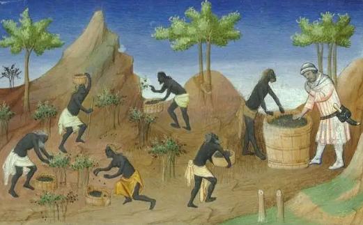 胡椒的历史价格,胡椒古代多少钱