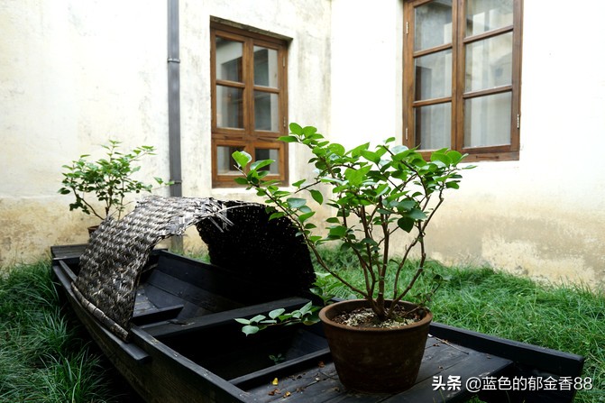 无名河我心中的伊甸园,画出我心中的伊甸园