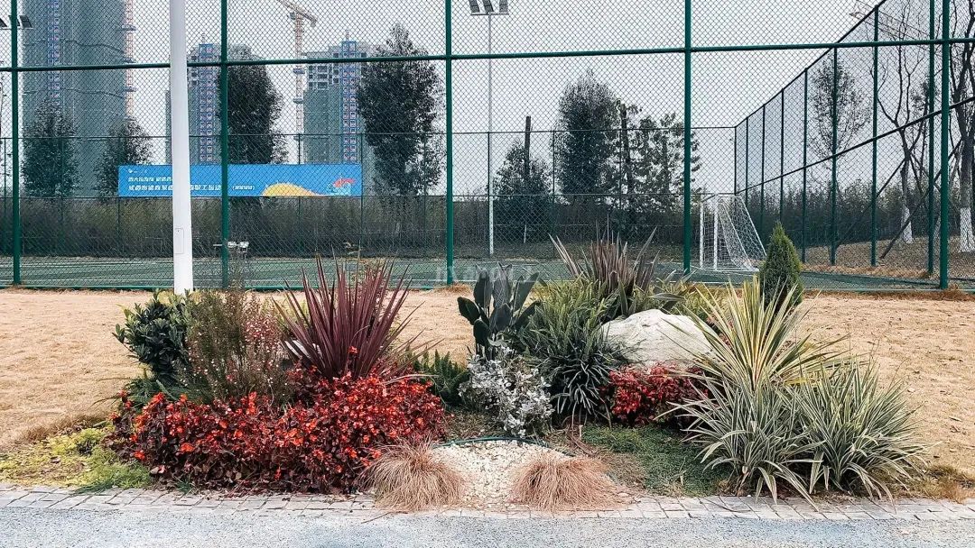 成都成华体育公园,成都成华区体育公园