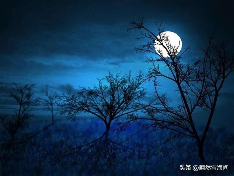 蕴含人生哲理的古诗100首,15首古诗词说尽人生真谛