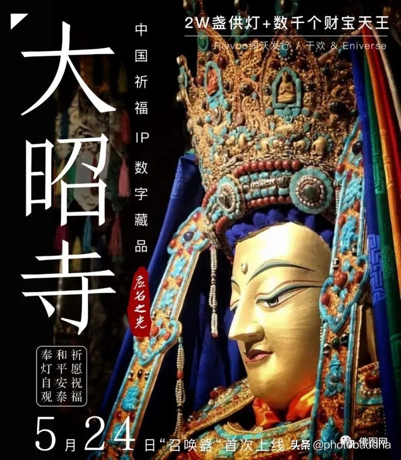 最近很火爆的佛系视频,最近很火的佛系生物