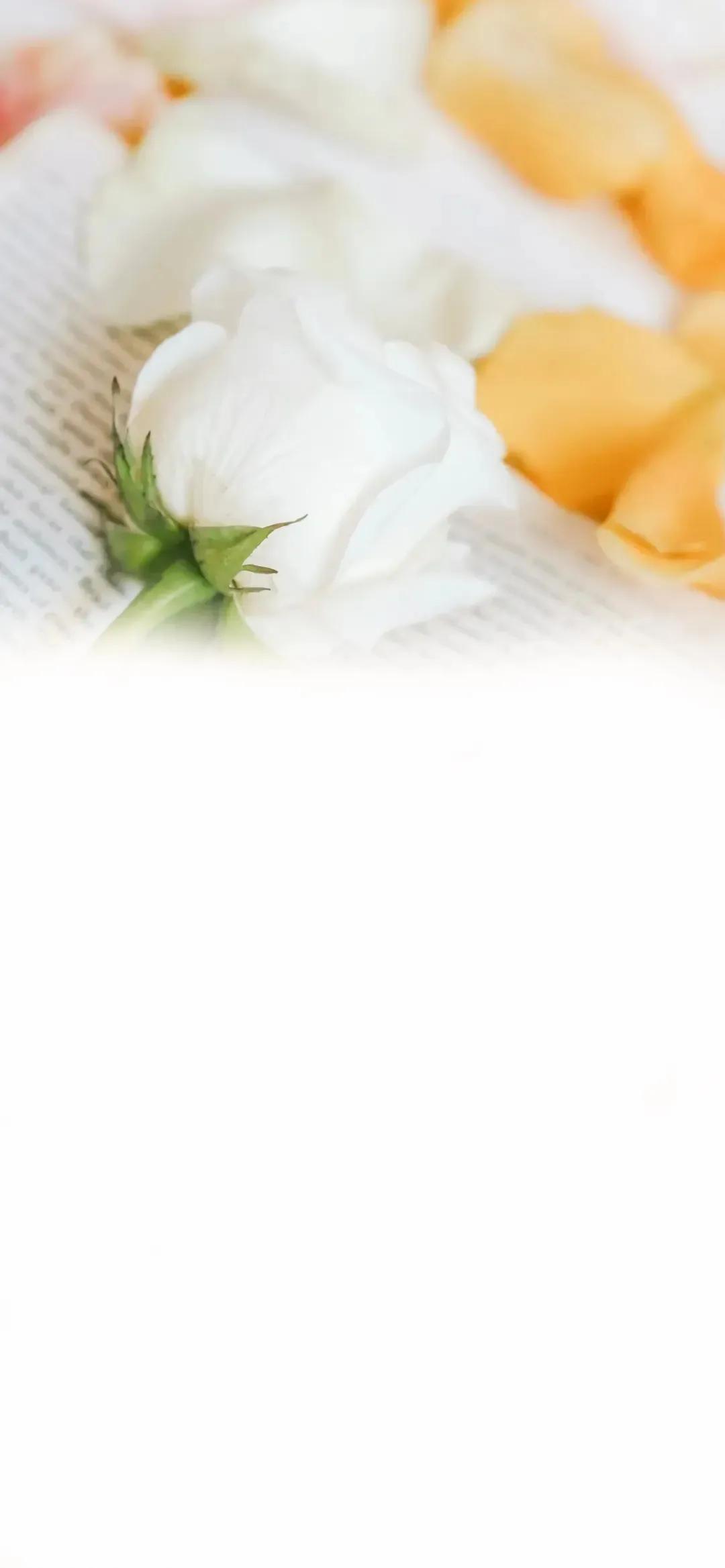 渐变晕染聊天背景图,渐变式聊天背景图