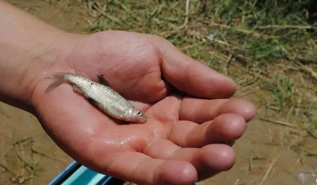 钓鱼最容易遇到的五大误区,钓鱼人都有的小毛病