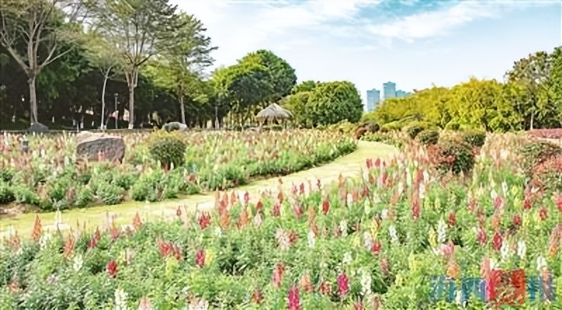 温暖中国年开心快乐过春节,网络中国节新春走基层过年不打烊