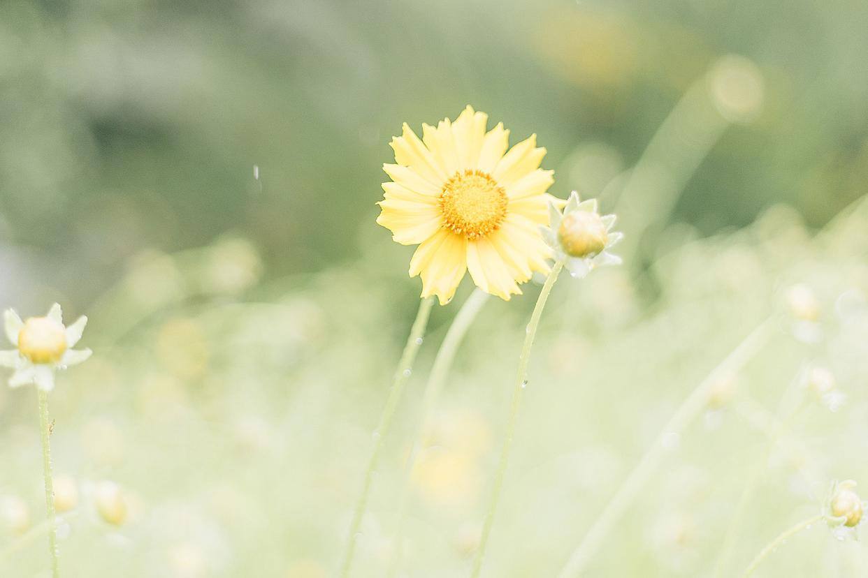 爱一个人的最高境界其实就一句话,爱一个女人的最高境界是什么