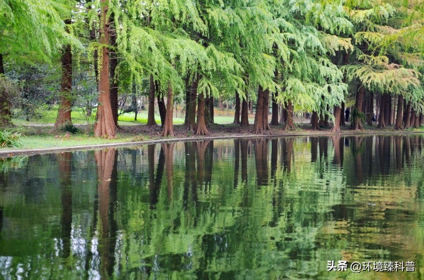 上海春季踏青亲子游好去处,上海周边城市踏青好去处推荐